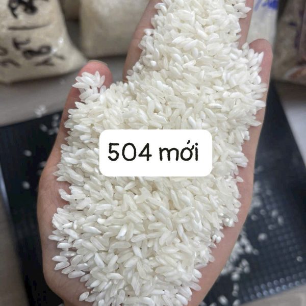 Gạo 504 Mới – Gạo phổ thông, dẻo nhẹ, giá tốt
