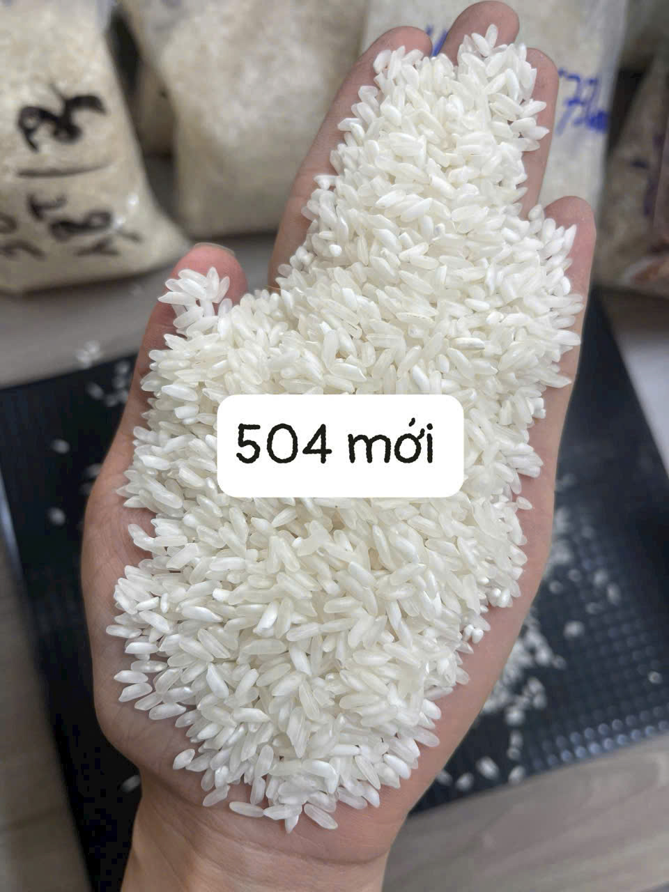 Gạo 504 Mới – Gạo phổ thông, dẻo nhẹ, giá tốt