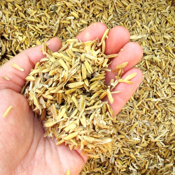 THAN TRẤU – NHIÊN LIỆU SINH HỌC THÂN THIỆN MÔI TRƯỜNG - Ảnh 5